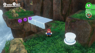 In the air near the Warp Pipe leading to the "Nice Shot with the Chain Chomp!" Power Moon area. (3)