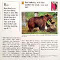 "How long do baby bears stay with their mothers?" (back)