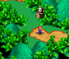 Third Treasure in Rose Way of Super Mario RPG: Legend of the Seven Stars.
