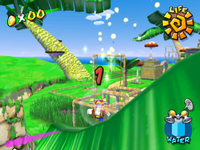 Mission 8 of Pianta Village in Super Mario Sunshine.