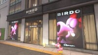 Birdo Jewelry in Mario Kart World