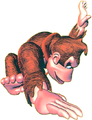 Donkey Kong Country