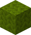 Green Wool