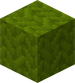 Minecraft asset