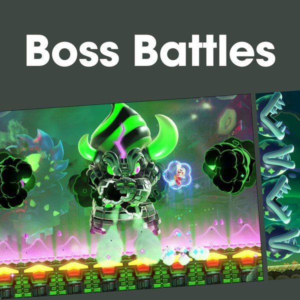 File:NM SMBW Boss Battles PL.png
