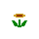 Fire Flower