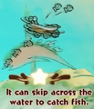 "It can skip across the water to catch fish." discovery from Snurfboard Habitat in Yoshi and the Mysterious Book