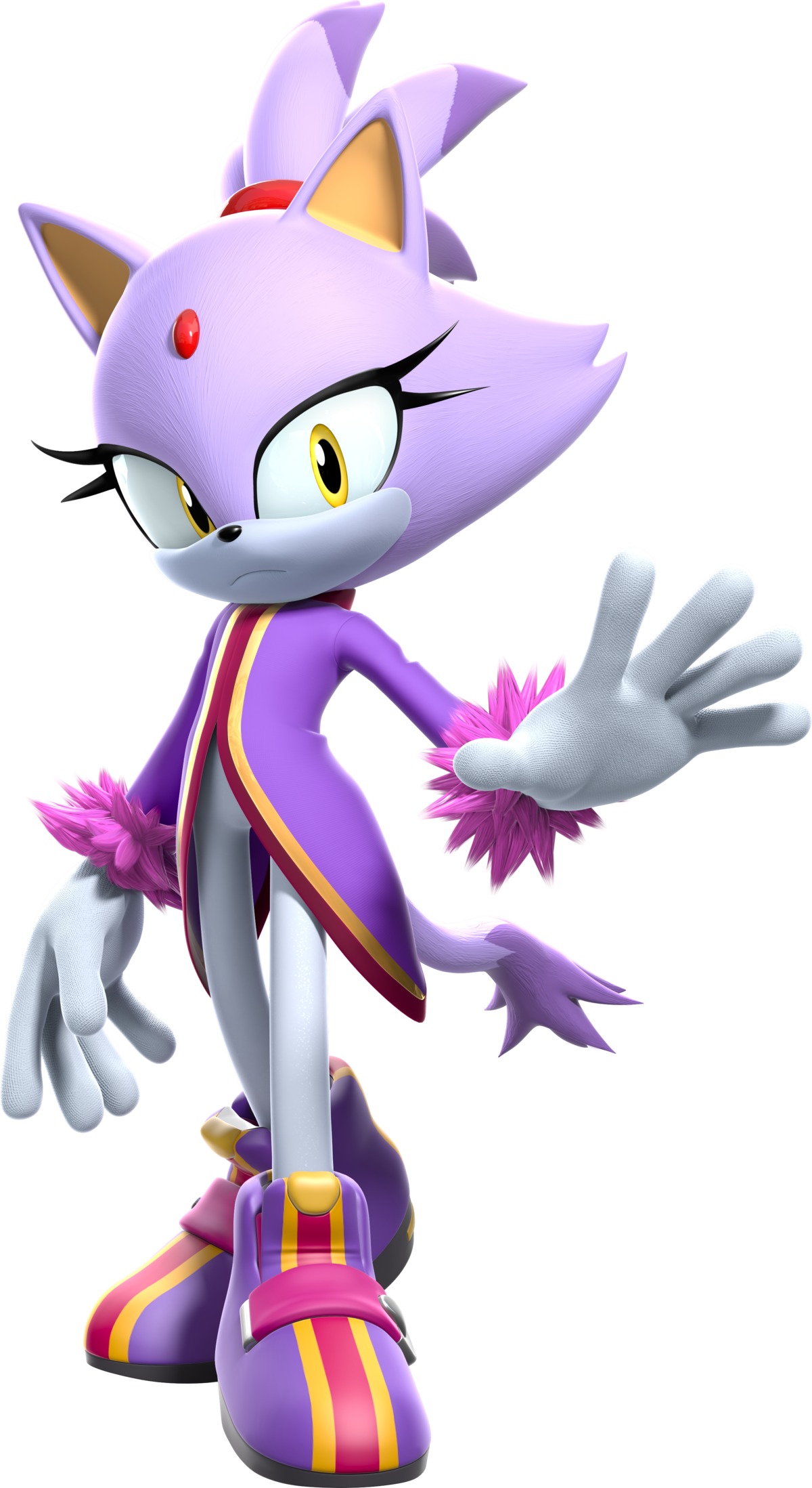 Pictures of blaze the cat