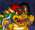 Bowser from the opening cutscene from the MS-DOS version.