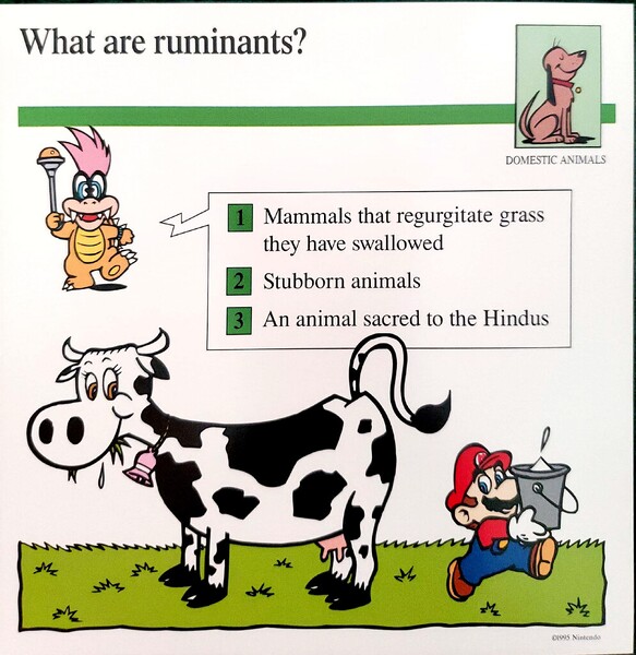 File:Ruminants quiz card.jpg