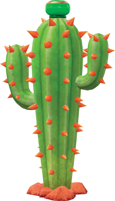 Carte Cactus