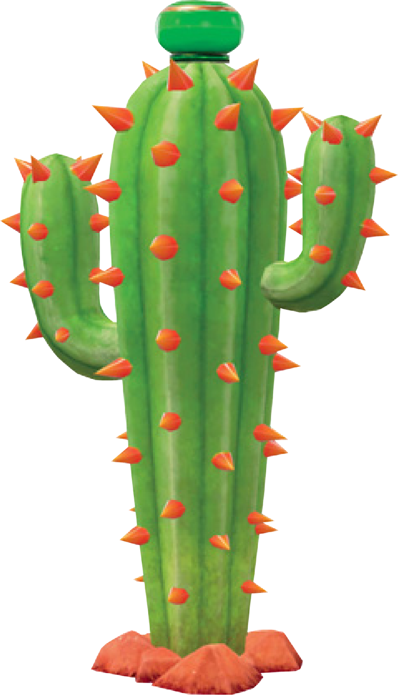 Stanley the Cactus 