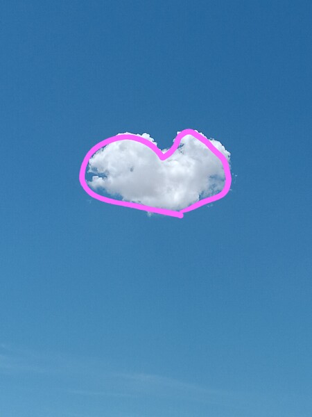 File:Shroom230Cloudgazing-Boo1268.jpg