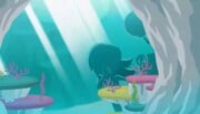 The hidden mermaids