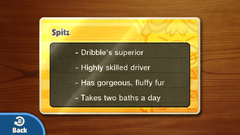 One of the Character Cards, as they appear on the GamePad.