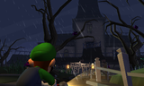 Luigi in the Front Yard