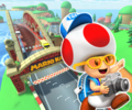The course icon of the Reverse variant with Toad (Tourist)