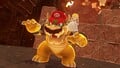 "Capturing Bowser"