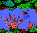 CoralCapers-GBC-1.png