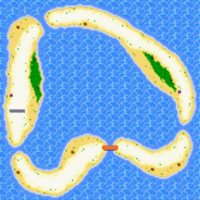 The map for a beach race course from the 2001 build of Diddy Kong Pilot