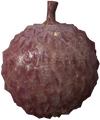 Thumbnail for version as of 22:11, May 12, 2026