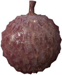 Lychee model in Donkey Kong Jungle Beat.