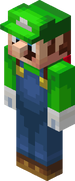 Minecraft asset