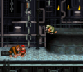 Donkey Kong and Diddy Kong begin the level