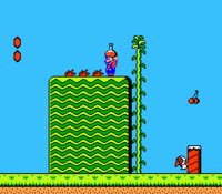 Mario lifting a Magical Potion that leads to Subspace in World 1-1 of Super Mario Bros. 2