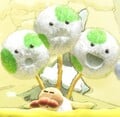 Scatterpuffs parasitizing an Egg Flower