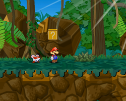 Last ? Block in Keelhaul Key of Paper Mario: The Thousand-Year Door.