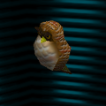 フクロウのからだ ("Owl body")