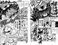 Fury Bowser and Giga Cat Mario Pages 118-119