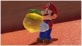 Mario holding a small seed