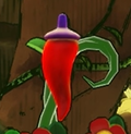 Hot Peppers