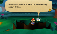 A glitch in Paper Mario: Sticker Star where Mario is left floating after talking with Kersti