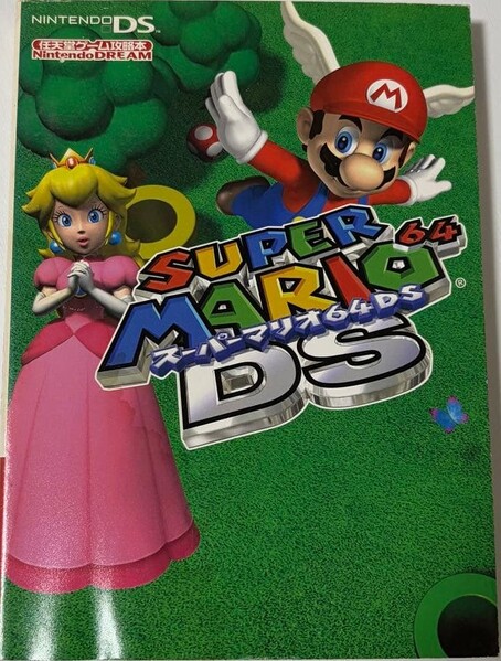 File:SM64DS Guide NDREAM.jpg