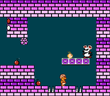 A Mouser in Yume Kōjō: Doki Doki Panic