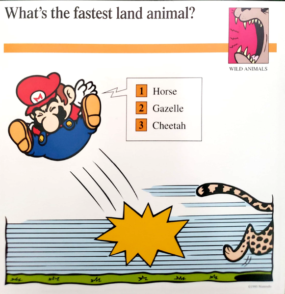 File:Fastest animal quiz card.png