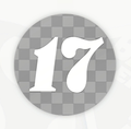 17