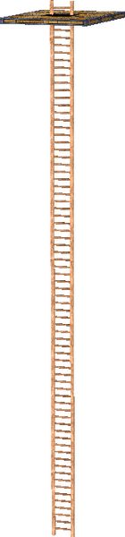 File:SSBB SSE Ladder moving jungle.png