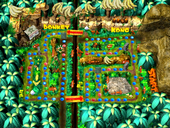 DK's Jungle Adventure
