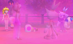 Three Toads, Peach, and Blaze are confronted by imposters