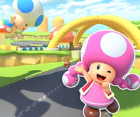 MKT Icon ToadCircuitR3DS Toadette.png