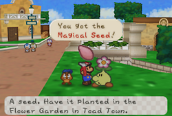 Obtaining the Magical Seed in Toad Town