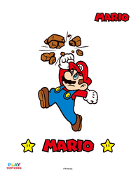 Play Nintendo Busting-bricks image.