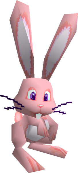File:Pink Rabbit SM64DS screenshot.png