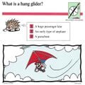 "What is a hang glider?"