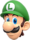 Head of Luigi.