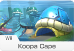 Wii Koopa Cape